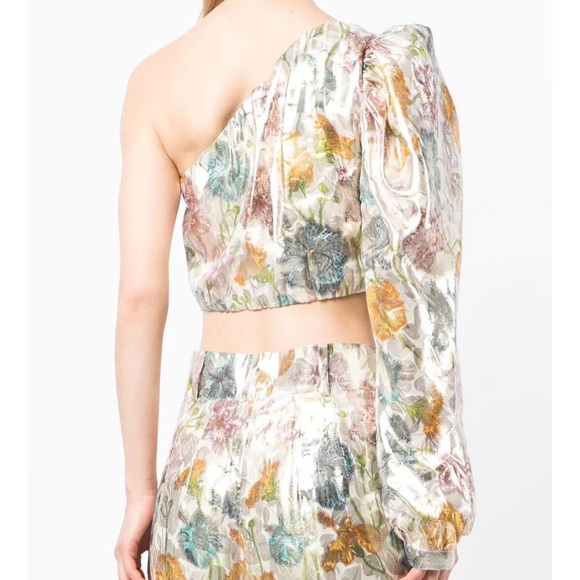 Hayley Menzies Shimmering Bonita Silk Jacquard Top Off Shoulder One Sleeve NWT - Picture 2 of 8